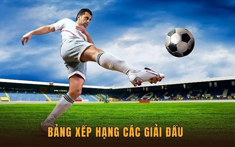 Bảng xếp hạng các giải đấu
