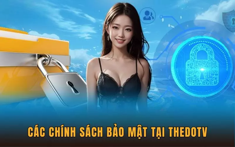 Các chính sách tại ThedoTV