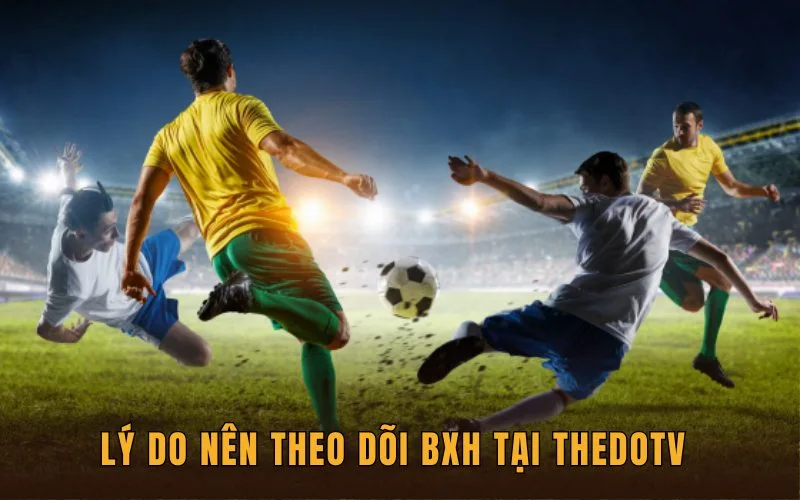 Lý do nên theo dõi tại ThedoTV