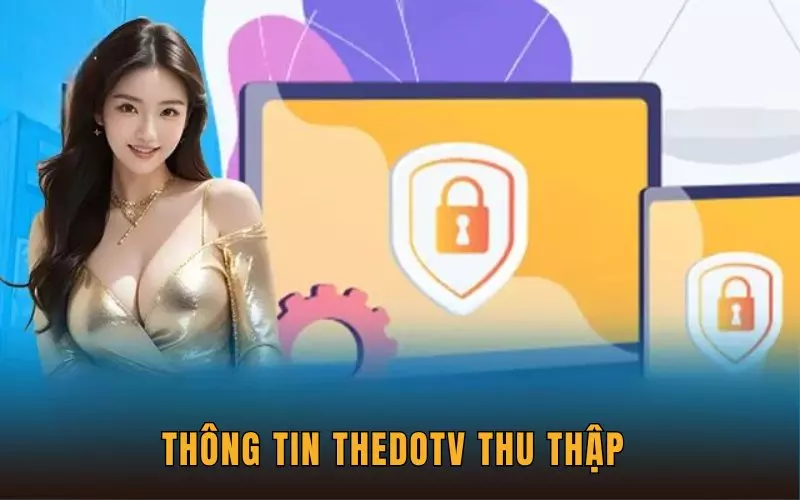 Thông tin ThedoTV thu thập